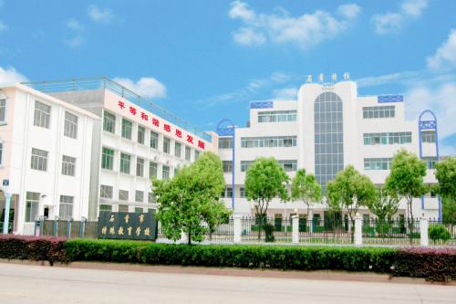进入特殊学校