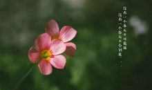 这一刻春暖花开