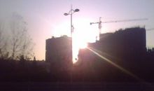 在夹缝中寻找阳光