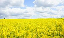 风雨中，你教会了我微笑