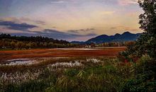 我的家乡美如画作文