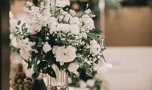 那花，引我发酵青春岁月