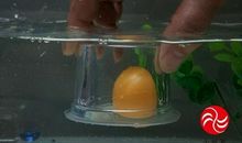 神奇的大气压力