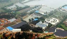 我爱我的故乡——应城