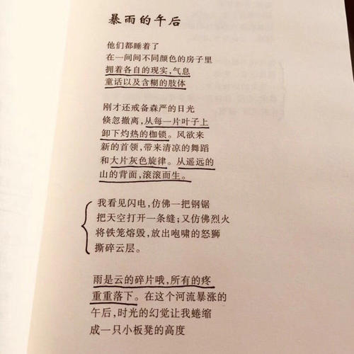 我的诗