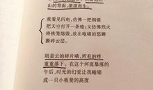 我的诗集诞生记