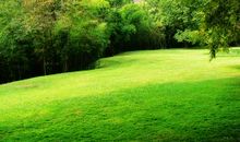 宽容残留在心底