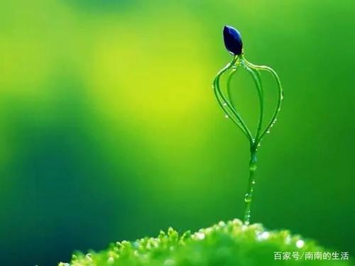 谢谢你的生活。