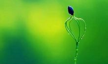 感谢你们在我生命里