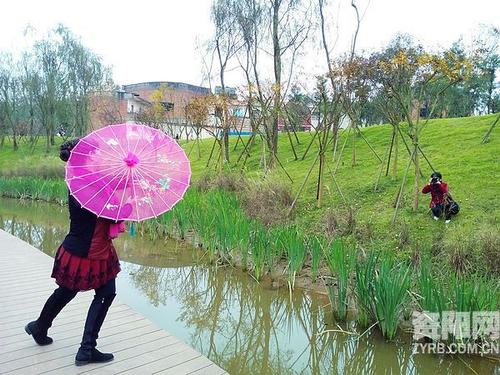 景观