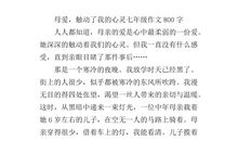 触动了我的心灵作文作文800字