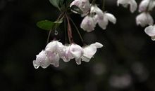 风雨中，你没有低头