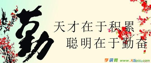 帆船的梦想