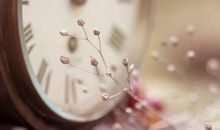 那一段匆匆的时光