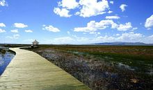 行走在成功的路上