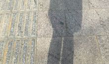 千山万水赴你而来