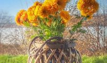 活出一点自信来