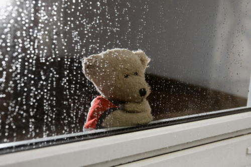 柔软的雨