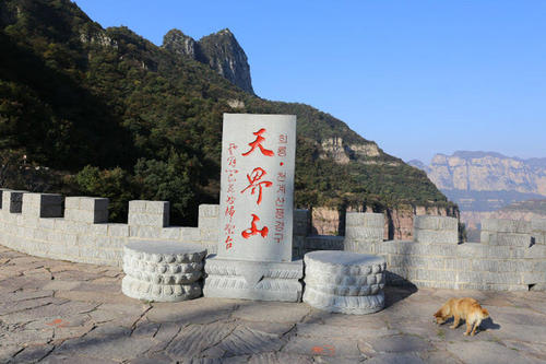 游泳