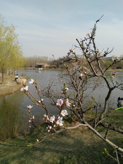 春天巡回阳阳