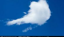 你是太阳身后那朵云