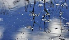 我可以选择倾听吗