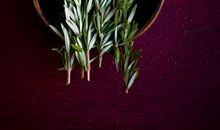 我爱家乡的艾草