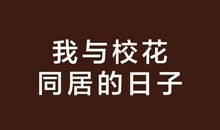 与照片相伴的日子