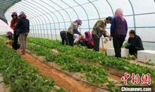 一次推销的收获