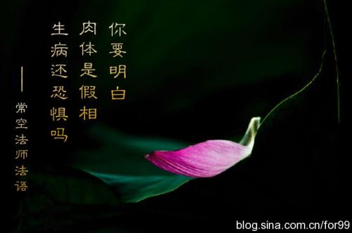 我的生活梦想