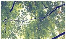 丝丝牵挂伴我行