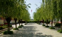 环境优美的校园