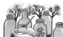 如果我也能成为一只丑小鸭