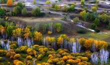 那个早晨，真暖