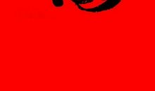 特殊的瑰宝——春节文化