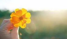 有一种美丽叫乐观