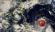 《超强台风》观后感