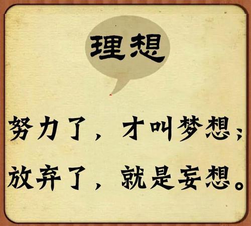 理想，促进真正的帆
