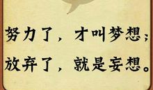 理想，推动现实的风帆