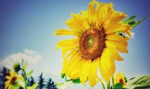 成长，也需要执著