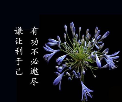 我可以选择平稳的生活吗？