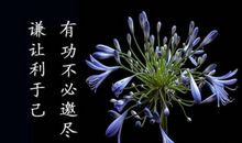 我可以选择一帆风顺的人生吗