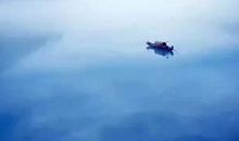 创造并抓住机遇