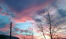 自然，心灵的寄托