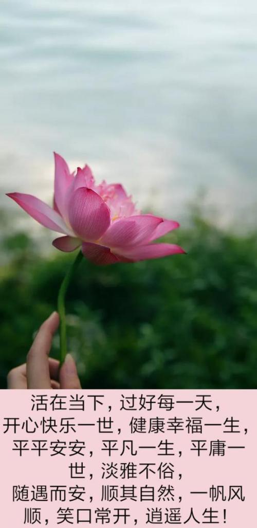 每天