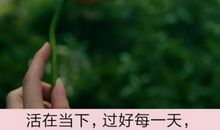 过好每一天