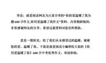 你用爱温暖了我作文800字