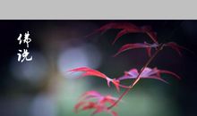 放下尘心，享受人生