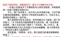 乘着什么飞翔作文