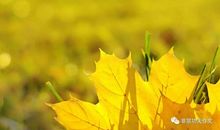 最美的秋天在心底